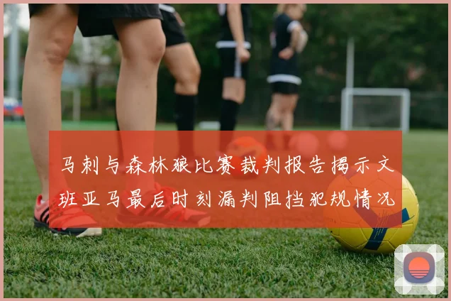 马刺与森林狼比赛裁判报告揭示文班亚马最后时刻漏判阻挡犯规情况