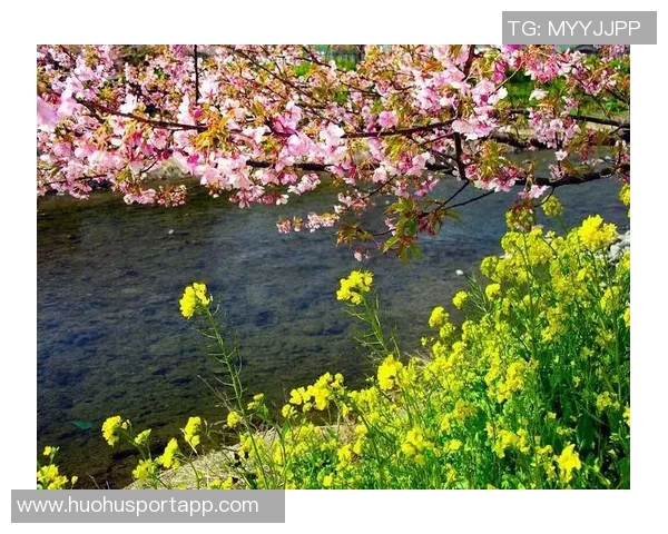 克莱深情命名小船冬梅展现爱的执着与温暖 克莱深情命名小船冬梅展现爱的执着与温暖